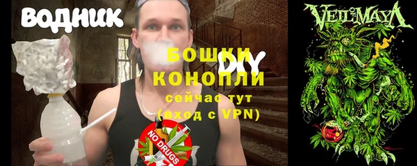 гашик Осинники